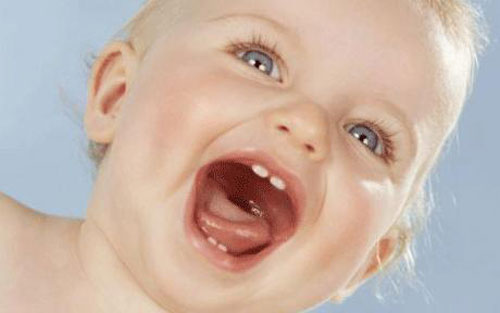 Which Baby Teeth Come In First And When