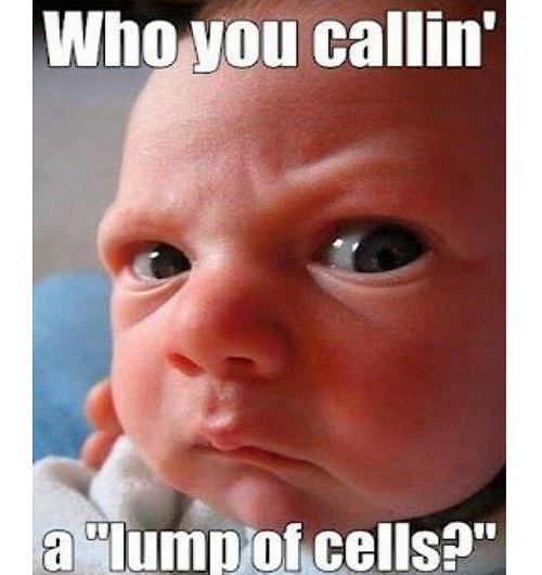 40 Hilarious Angry Baby Memes for 2022 – Child Insider