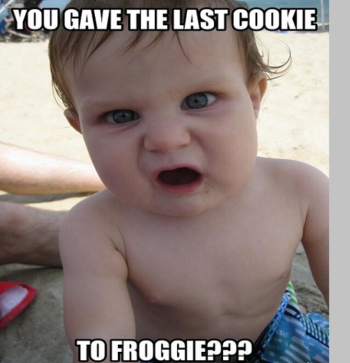 40 Hilarious Angry Baby Memes for 2022 – Child Insider