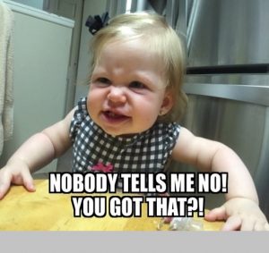 40 Hilarious Angry Baby Memes for 2024 – Child Insider