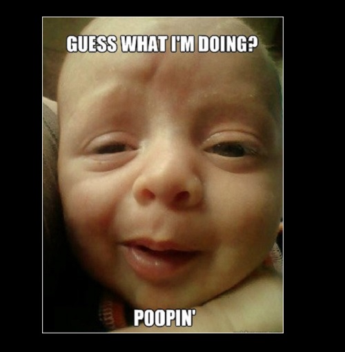 30 Best Baby Pooping Memes in 2024 – Child Insider