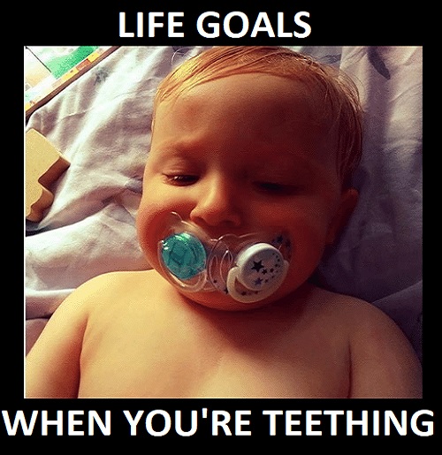 adorable teething baby memes