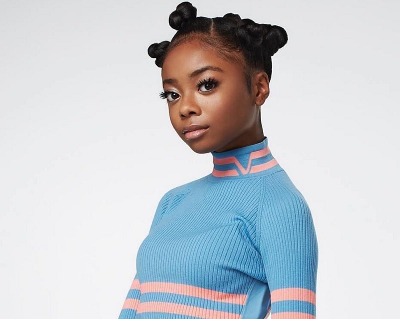 21 Blissful Hairstyles That Black Teenage Girls Love